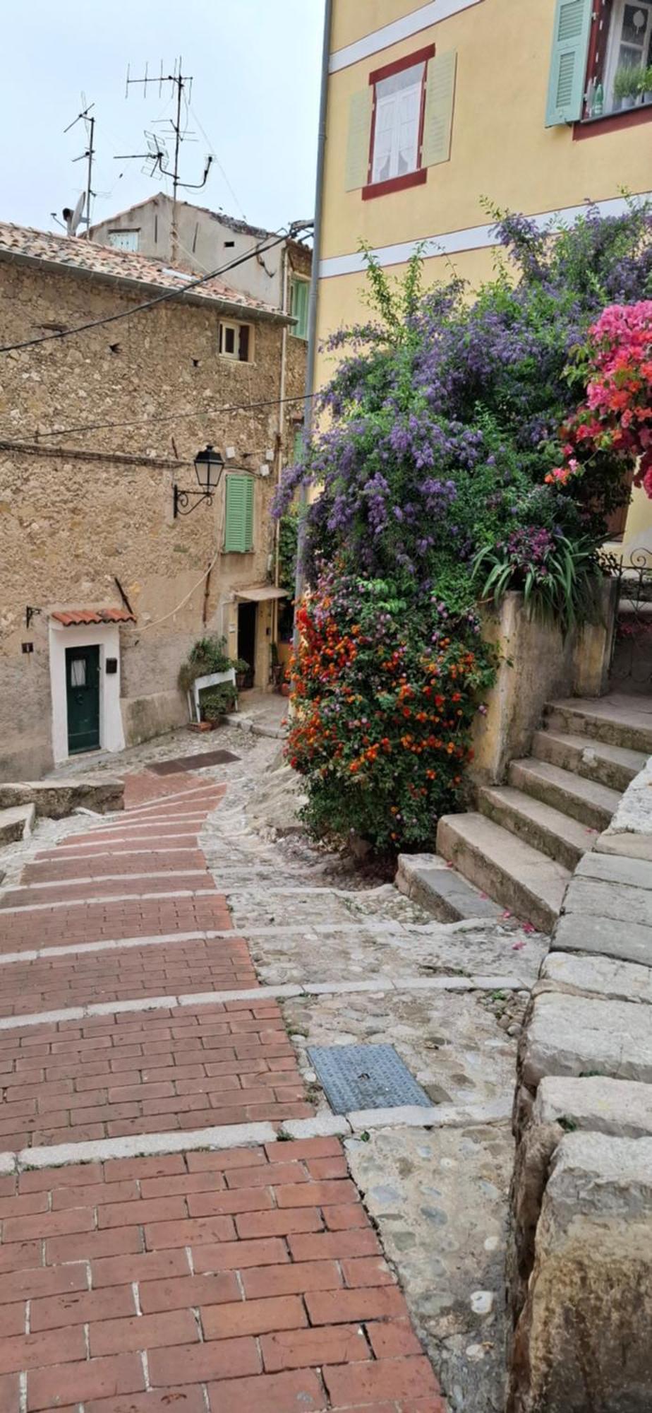 La Barca De La Vieille Ville 2 Chambres 芒通 外观 照片